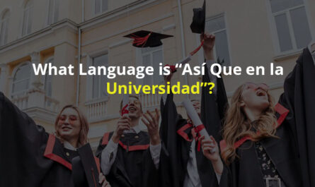 Así que en la universidad