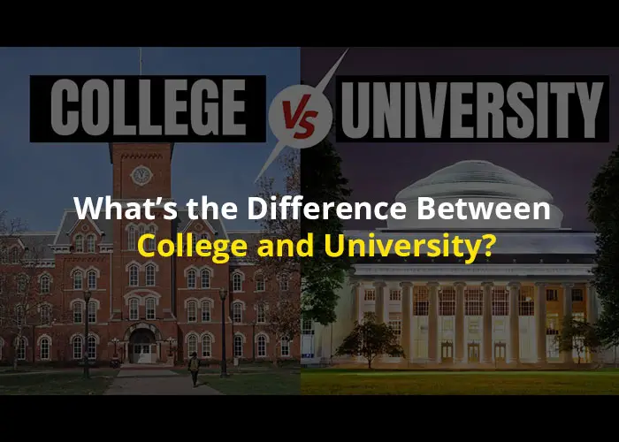 What’s the Difference Between College and University? Bes Complete Guide for Students