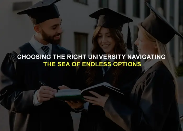 Choosing the Right University: Navigating the Sea of Endless Options